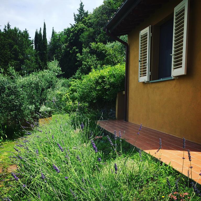 La Locanda Del Barbagianni Санта-Луче Екстер'єр фото